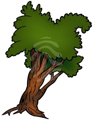 Clip Art Deciduous Tree Clipart Panda Free Clipart Images