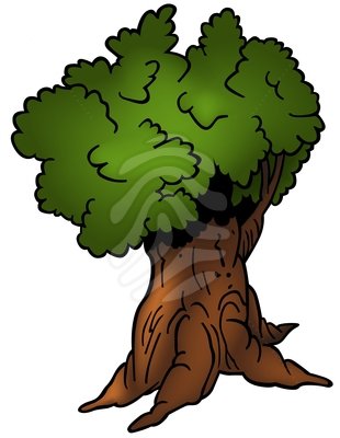 Clip Art Deciduous Tree Clipart Panda Free Clipart Images