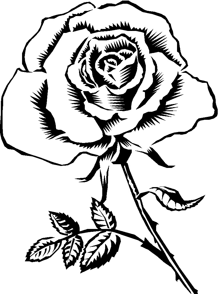 Rose Clipart Black And White