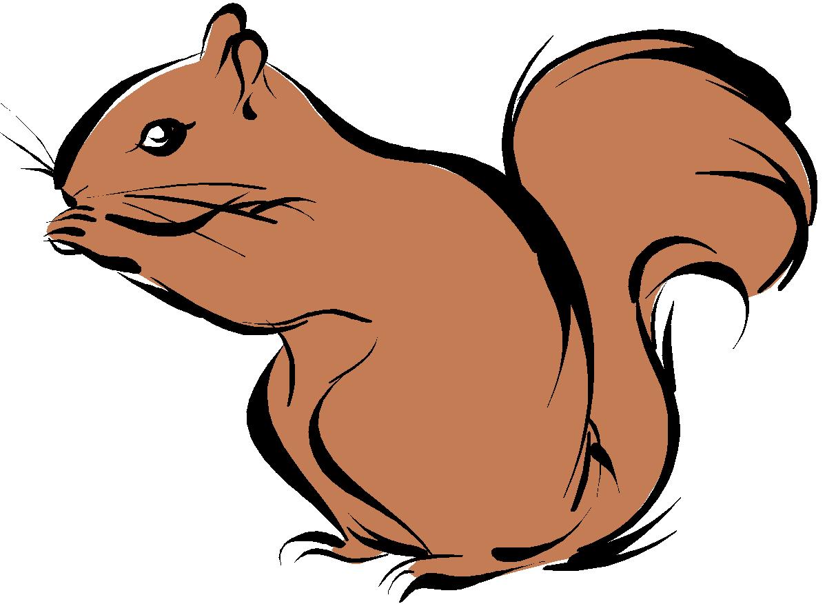 Image result for squirrel clipart